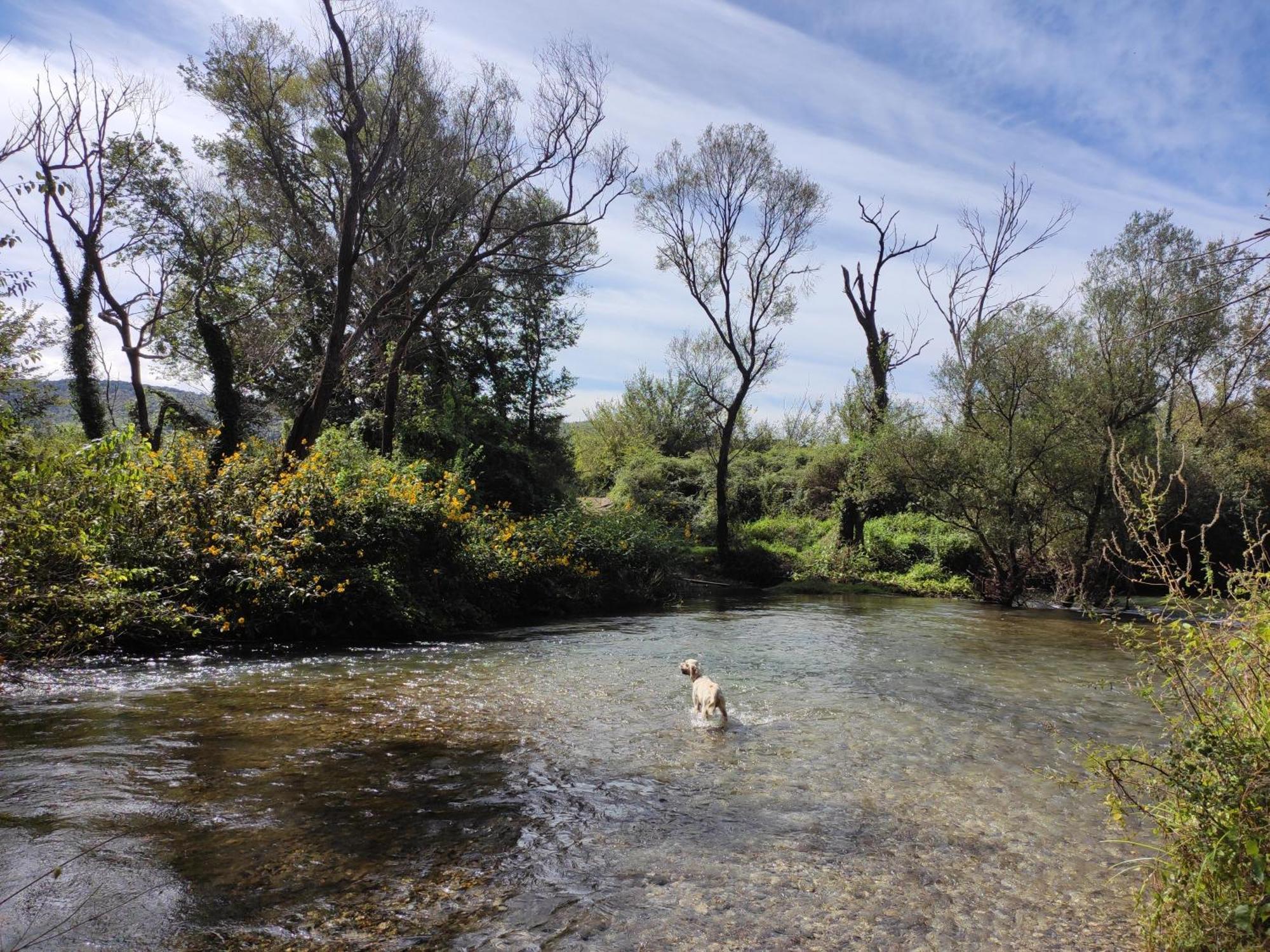 Country House Uros In Nature With Pool Lovorno المظهر الخارجي الصورة